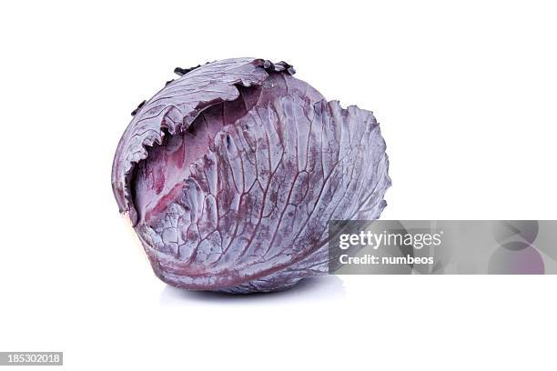 cabbage - rotkohl stock-fotos und bilder