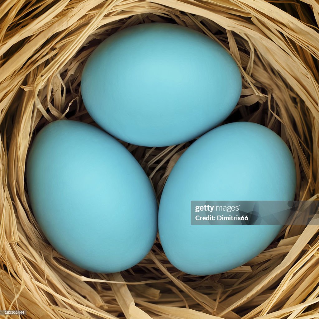Three blue easter eggs on straw