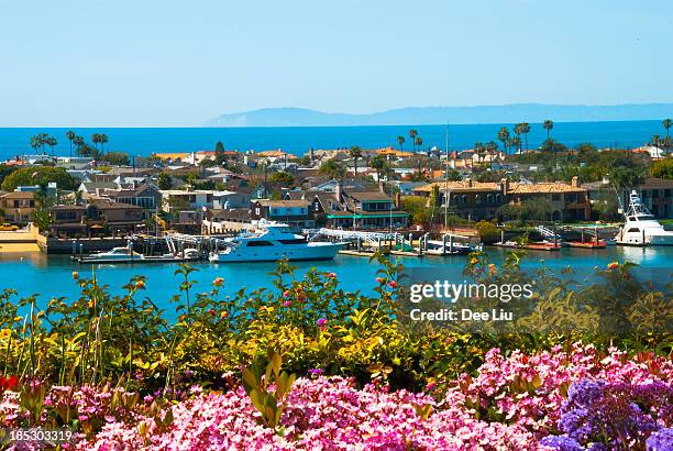 newport beach ambiente - newport beach stock-fotos und bilder