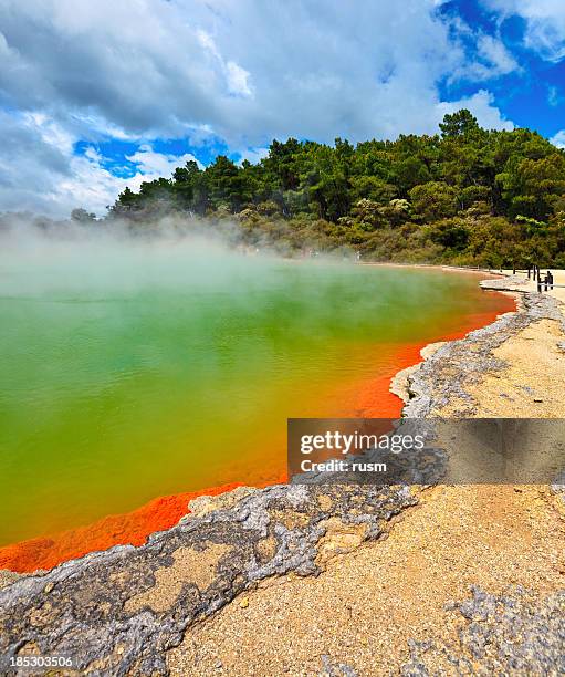 Champagne Pool Rotorua Neuseeland, Stock-Foto