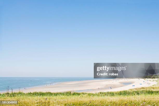 sandy beach and dunes at zeeland, the netherlands - zeeland netherlands stock pictures, royalty-free photos & images