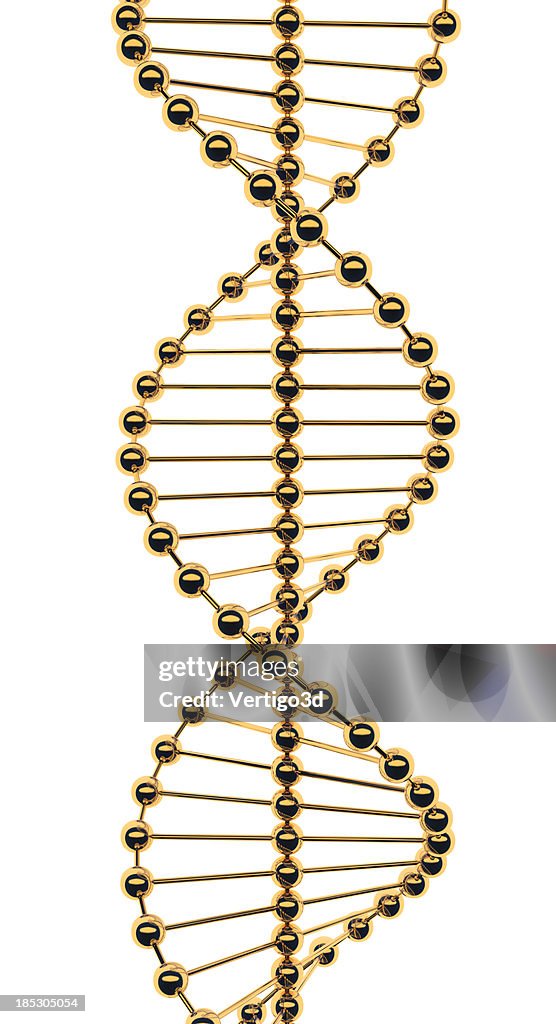 Molécule d'ADN Gold