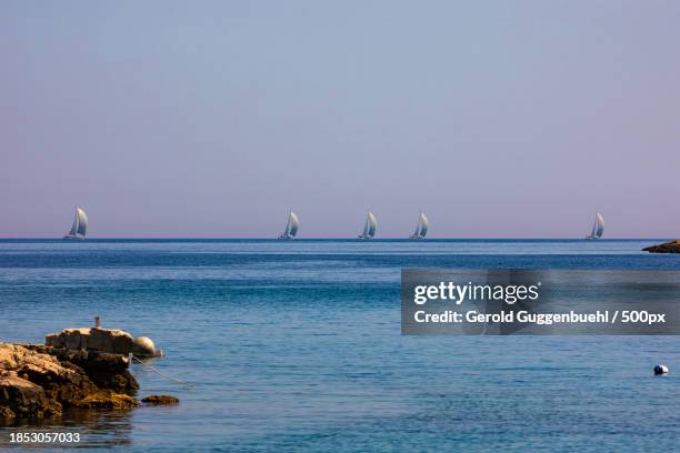 scenic view of sea against clear sky - gerold guggenbuehl stock pictures, royalty-free photos & images