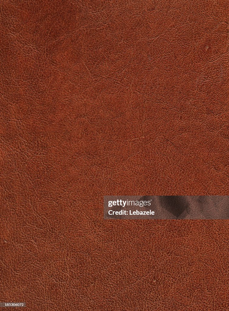 Leather Goat (65 Mp)