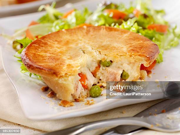 chicken pot pie - cooked turkey white plate stockfoto's en -beelden