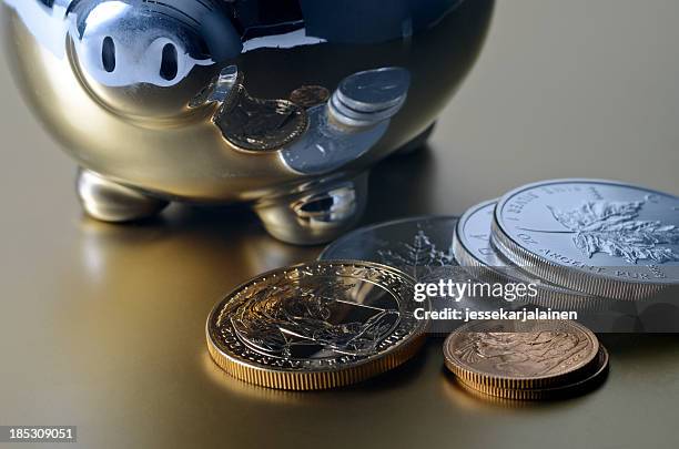 gold and silver savings bank - canada money stock pictures, royalty-free photos & images