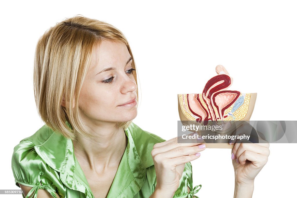 Female student holding pelvis model