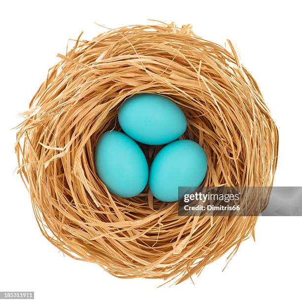 blue easter eggs from directly above - thing stock pictures, royalty-free photos & images