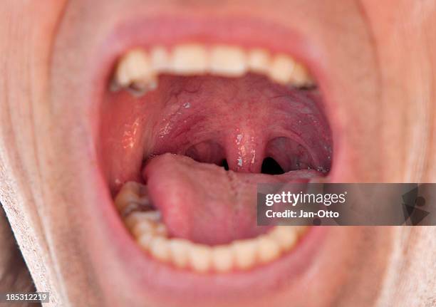 male throat - human tongue stock pictures, royalty-free photos & images