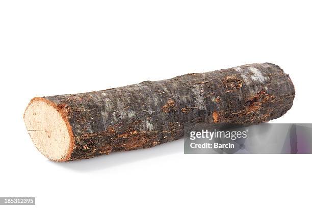 brennholz - tree trunk stock-fotos und bilder