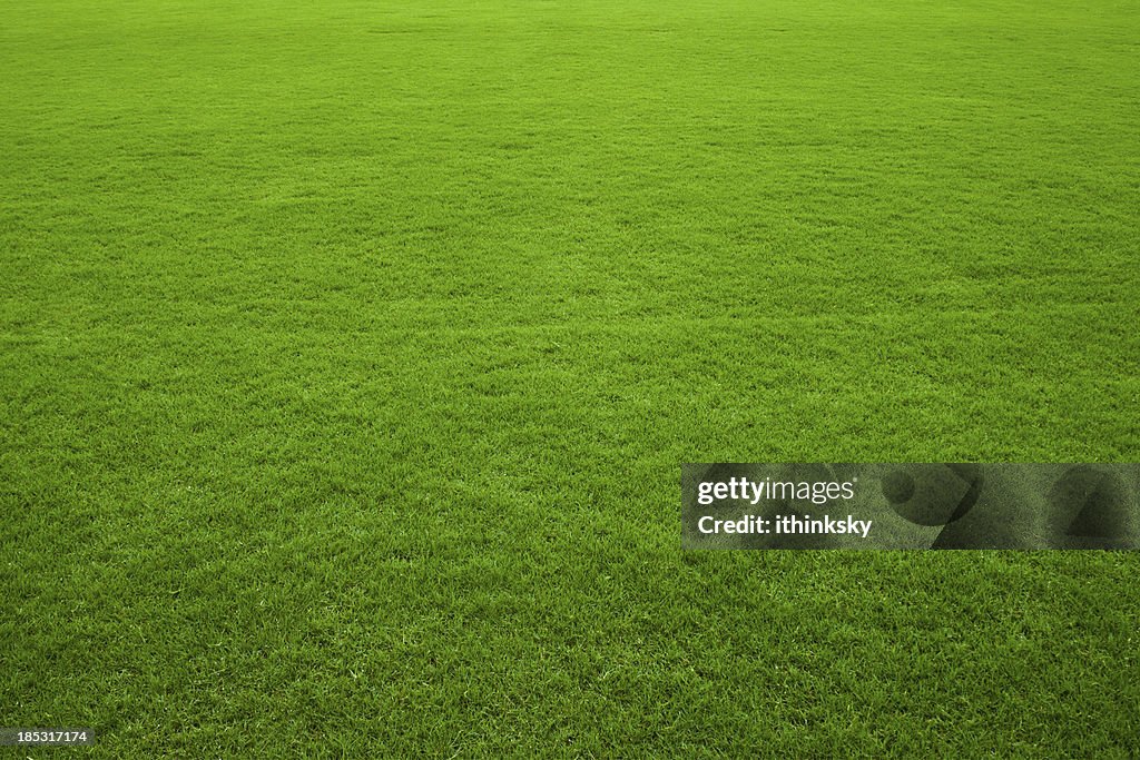 Green grass background