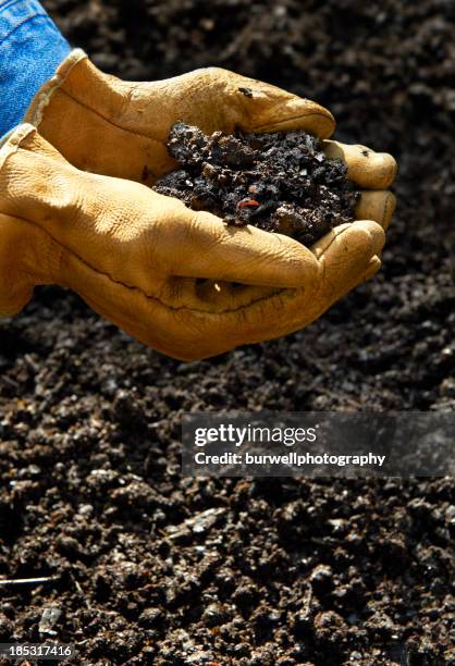 home composting, hand holding compost soil - compost stock pictures, royalty-free photos & images