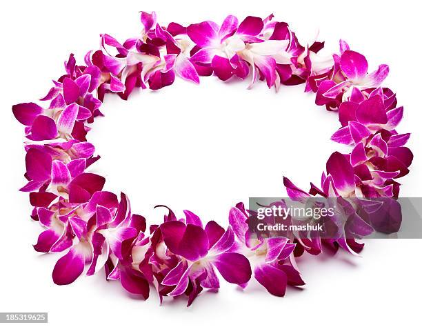 lei aus violetten orchideen auf weißem hintergrund - necklace stock-fotos und bilder