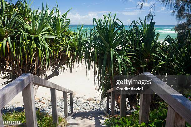 wategoes beach boardwalk steps, byron bay, australia - byron bay hinterland stockfoto's en -beelden