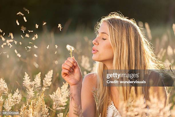 mujeres jóvenes con semillas de diente de león en campo - natural blonde fotografías e imágenes de stock