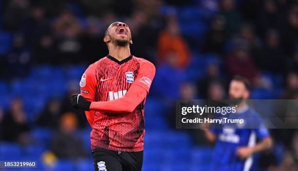 55,706 Cardiff City Fc Photos & High Res Pictures - Getty Images