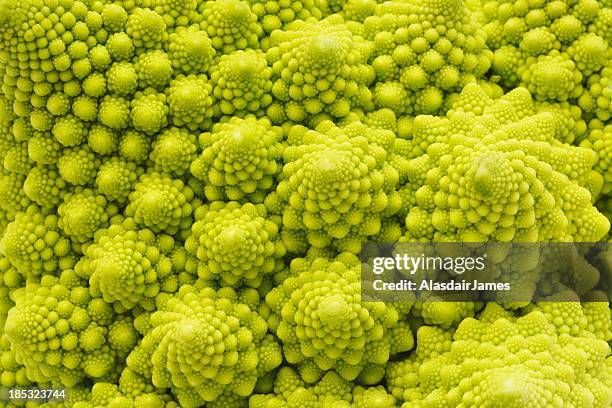 romanesco broccoli close-up - chou romanesco stock pictures, royalty-free photos & images