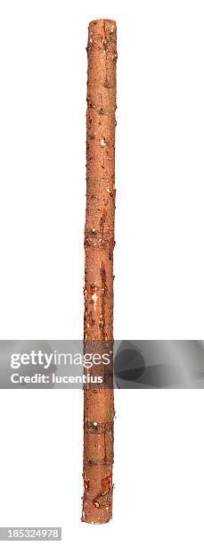 three metre long log isolated on white - trunk stock pictures, royalty-free photos & images