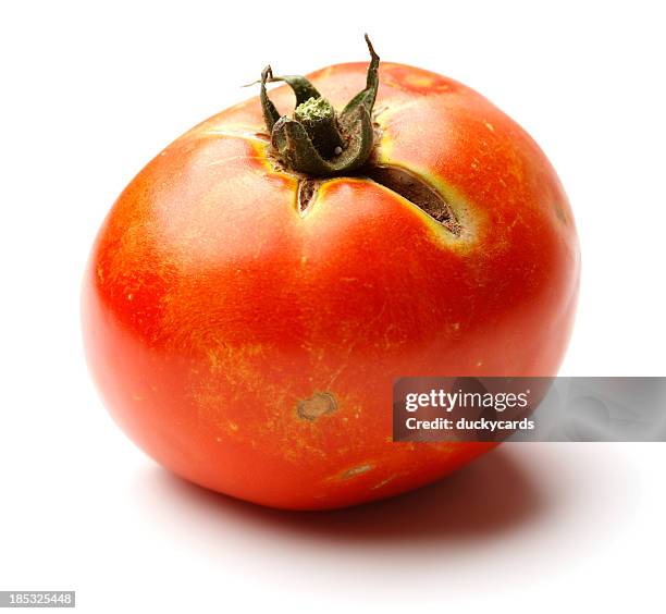 ugly homegrown tomato - homegrown produce stock pictures, royalty-free photos & images