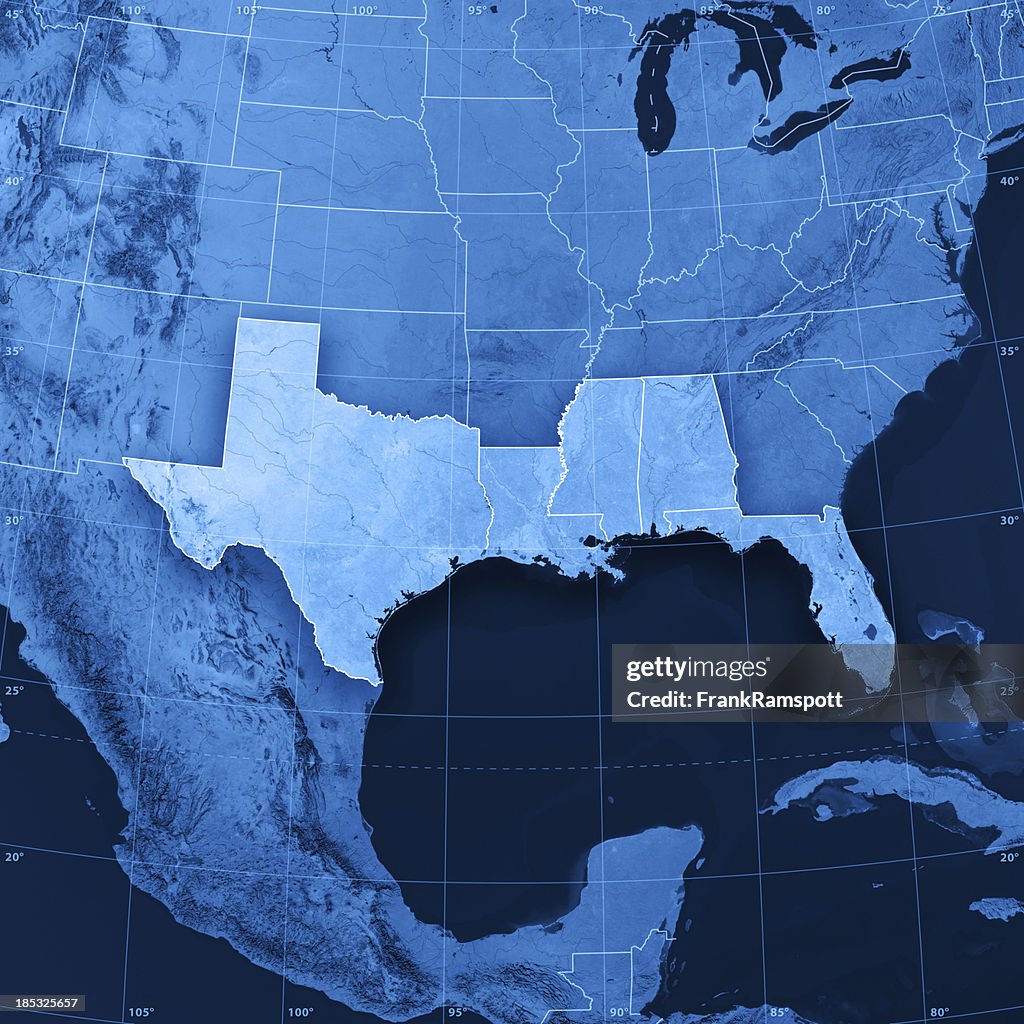 Gulf Coast States USA Topographic Map