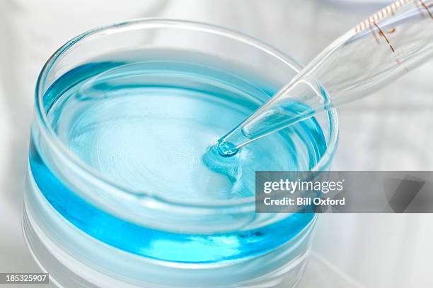 petri dish - pipette stock pictures, royalty-free photos & images