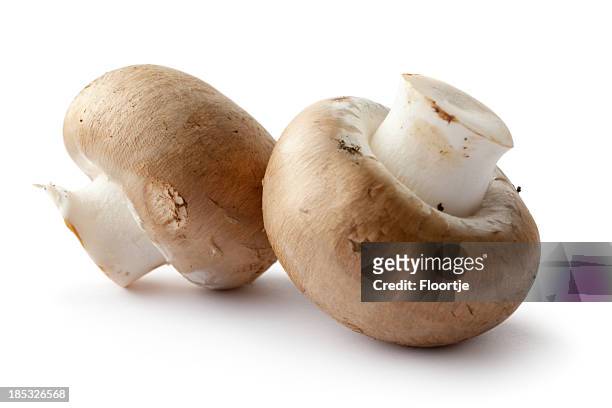 mushrooms: crimini mushrooms isolated on white background - champignon stock pictures, royalty-free photos & images