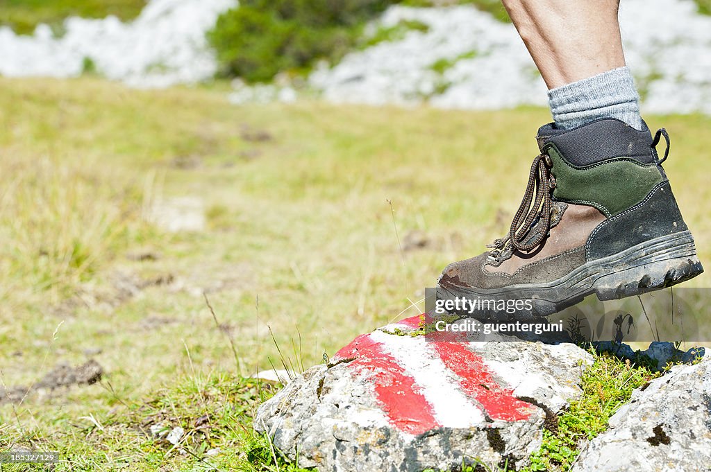 Hiking in the Alps