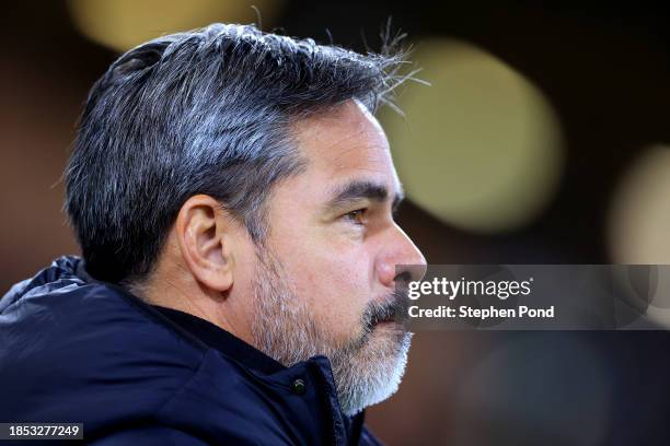 David Wagner, Manager of Norwich City during the Sky Bet Championship match between Norwich City and Sheffield Wednesday at Carrow Road on December...