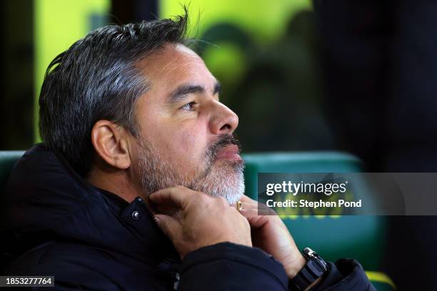 David Wagner, Manager of Norwich City during the Sky Bet Championship match between Norwich City and Sheffield Wednesday at Carrow Road on December...