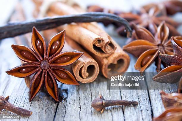 aromatic spices - anise stockfoto's en -beelden