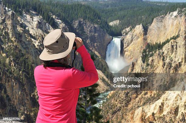 watching nature - yellowstone river stock pictures, royalty-free photos & images