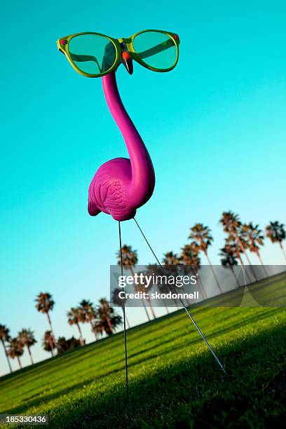 plastic pink flamingo on a green lawn - plastic flamingo stock pictures, royalty-free photos & images