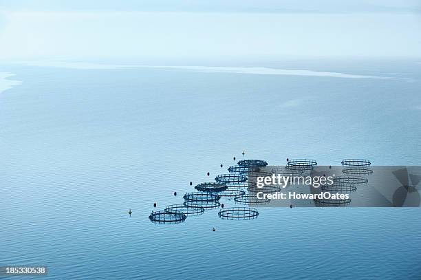 sea fish farm in greece - fish farm stock pictures, royalty-free photos & images