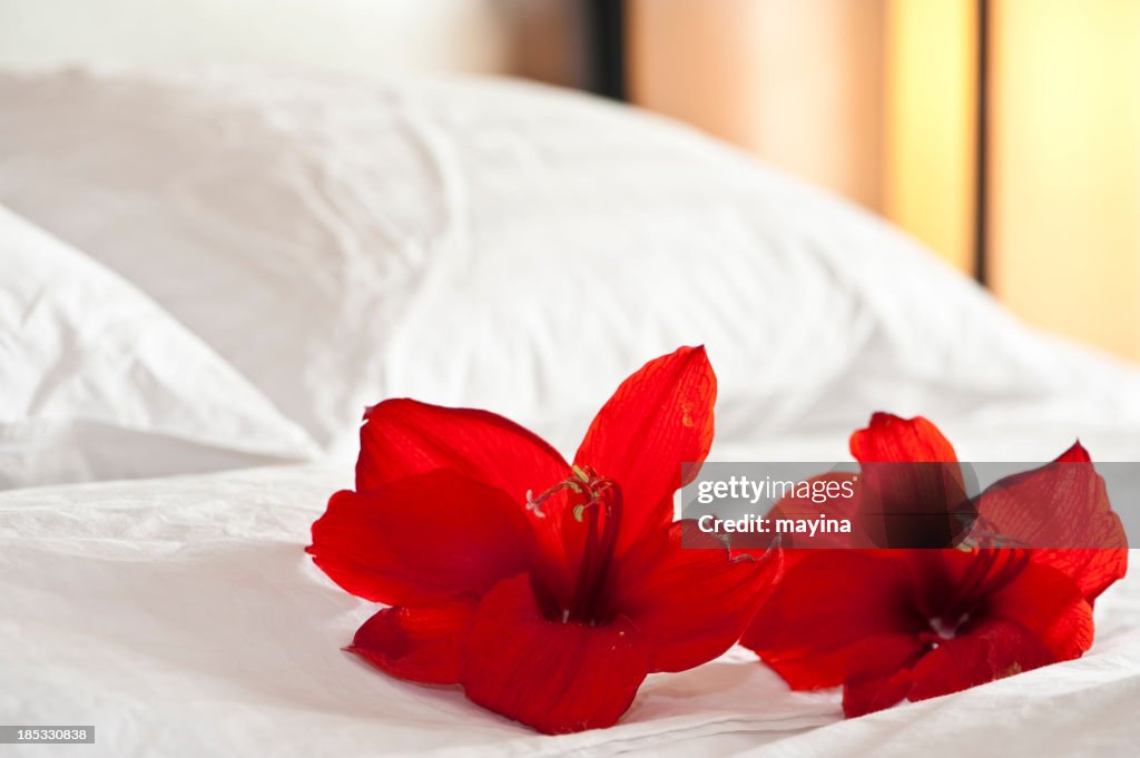Flowers on a sheet in a hotel room 