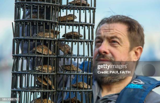 Conservation Manager with Ulster Wildlife David Smyth holds an oyster cage at the City Quays, in Belfast, Northern Ireland, on November 28, 2023....