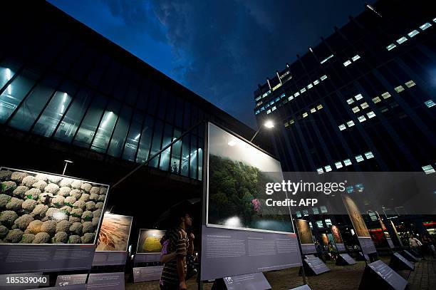 Visitors enjoy the Earth from Above exhibition by French photographer Yann Arthus-Bertrand, displayed at the Art Museum of Sao Paulo on October 18,...