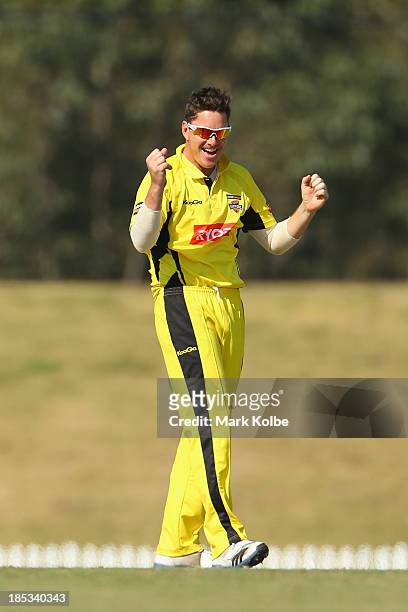 Marcus North of the Warriors celebrates taking the wicket of Evan Gulbis of the Tigers during the Ryobi Cup match between the Tasmania Tigers and the...