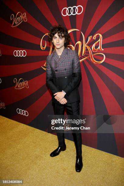 Timothée Chalamet attends the "Wonka" Canadian Fan Screening at Cineplex Cinemas Yorkdale on December 13, 2023 in Toronto, Ontario.