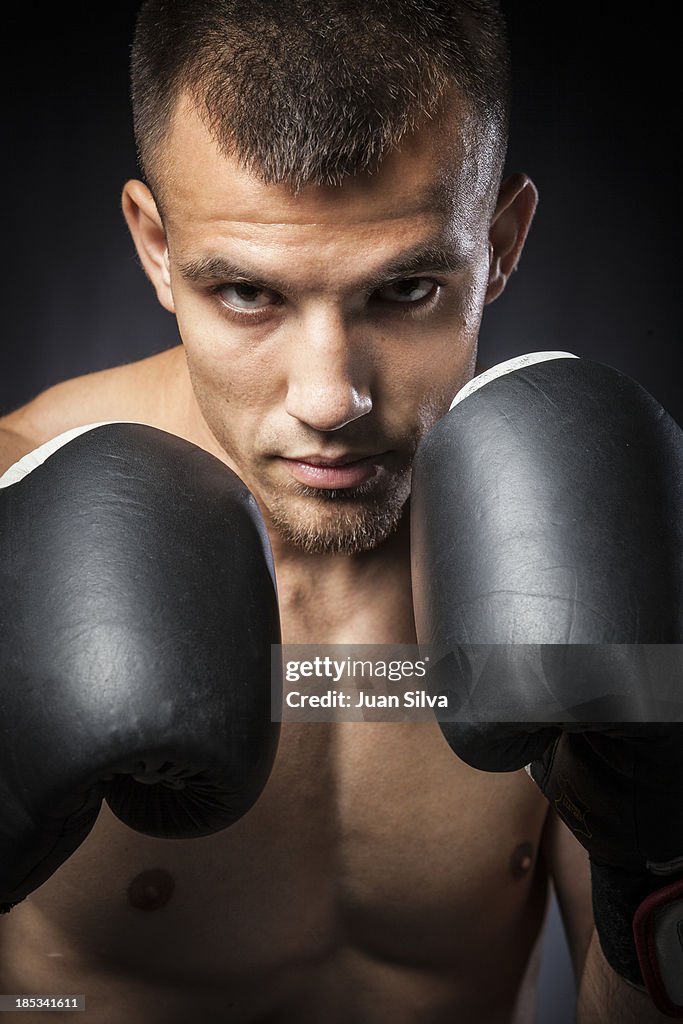 Overprotected Boxer Portrait Of Male Boxer In Guard Close Up High-Res Stock Photo - Getty ...