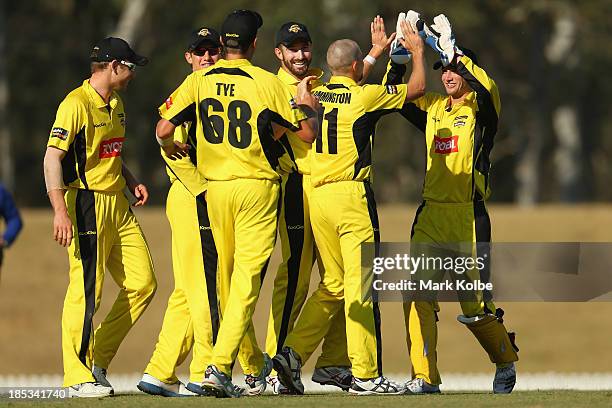 Nathan Rimmington of the Warriors celebrates with his team mates after running out Aiden Blizzard of the Tigers during the Ryobi Cup match between...