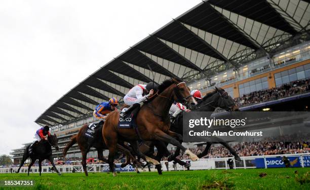 Johnny Murtagh riding Royal Diamnond win The Qipco British Champion Long Distance Cup at Ascot racecourse on October 19, 2013 in Ascot, England.