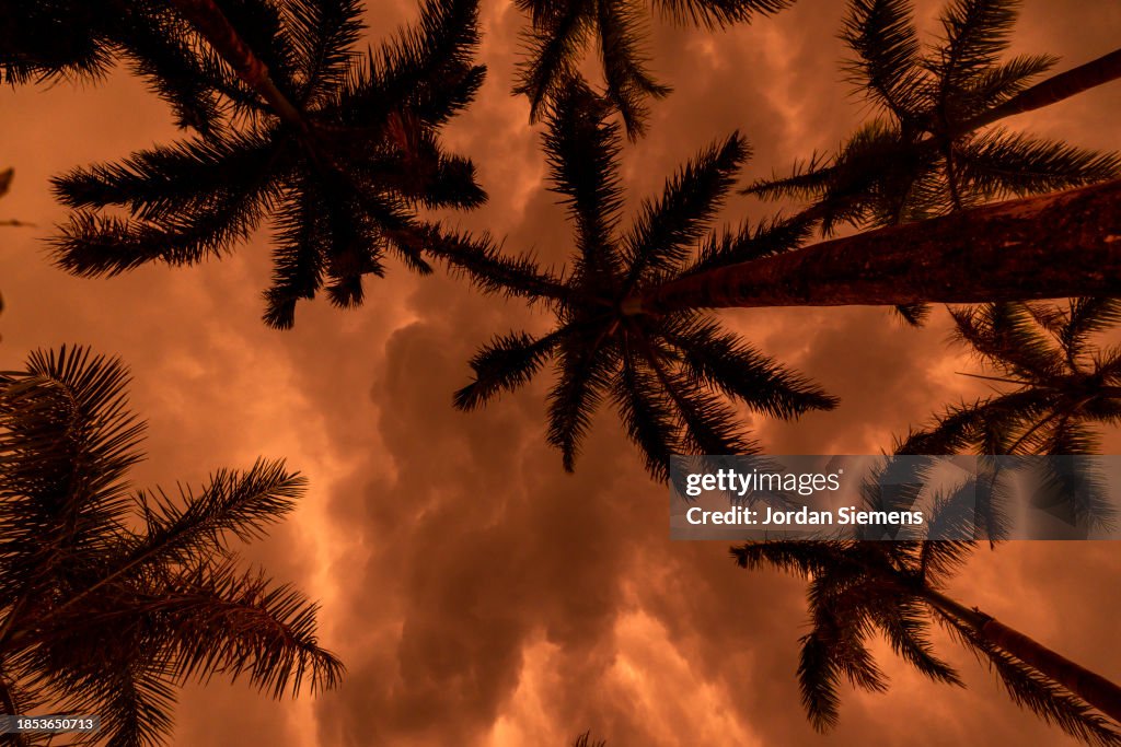 Looking up at palm trees under a dramatic sunset in Costa Rica.