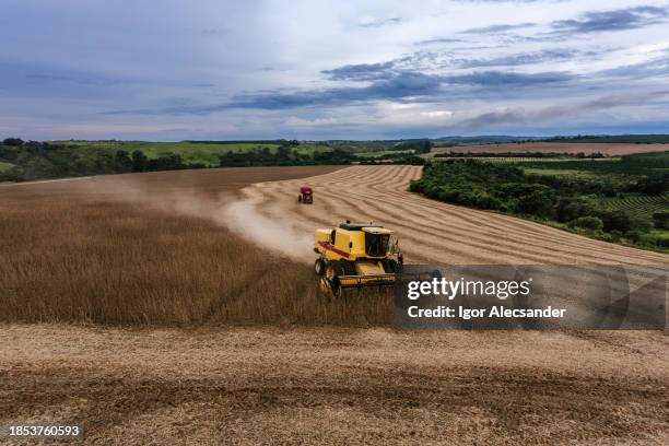 cosechadora en el campo de soja al anochecer - preparación de alimentos fotografías e imágenes de stock