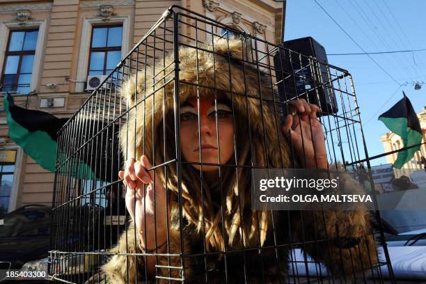 Animal rights activist stages a performance during an anti-fur march in St. Petersburg on October 20, 2013. Participants gathered to protest against...