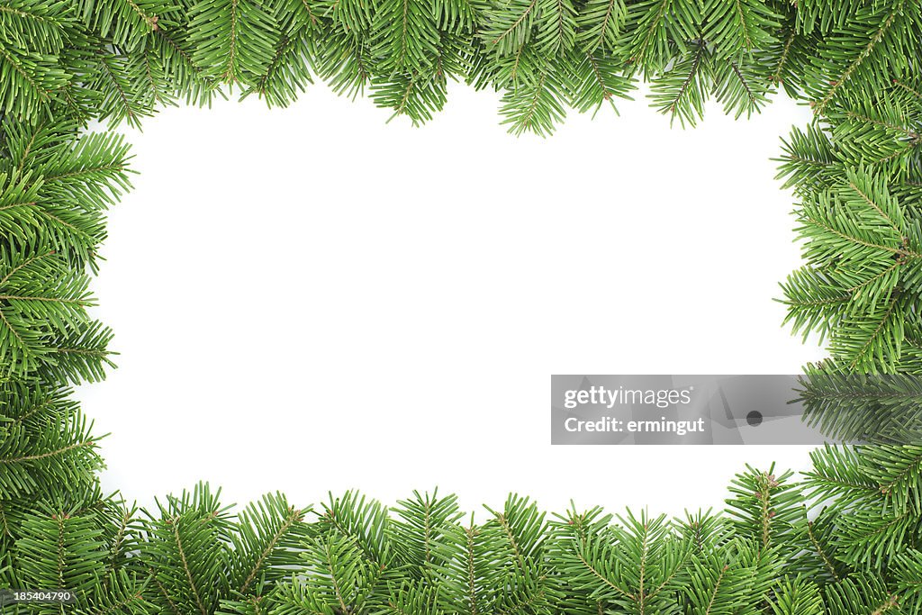 Fir tree frame isolated on white background