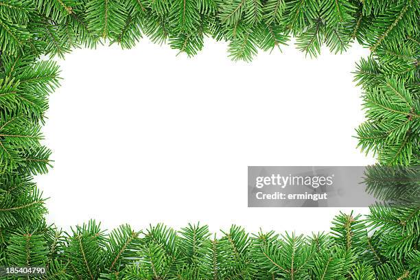 fir tree frame  isolated on white background - christmas frame stock pictures, royalty-free photos & images