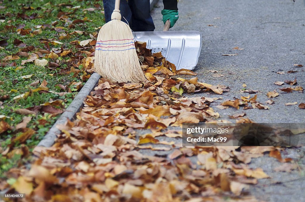 Fege Herbstblätter