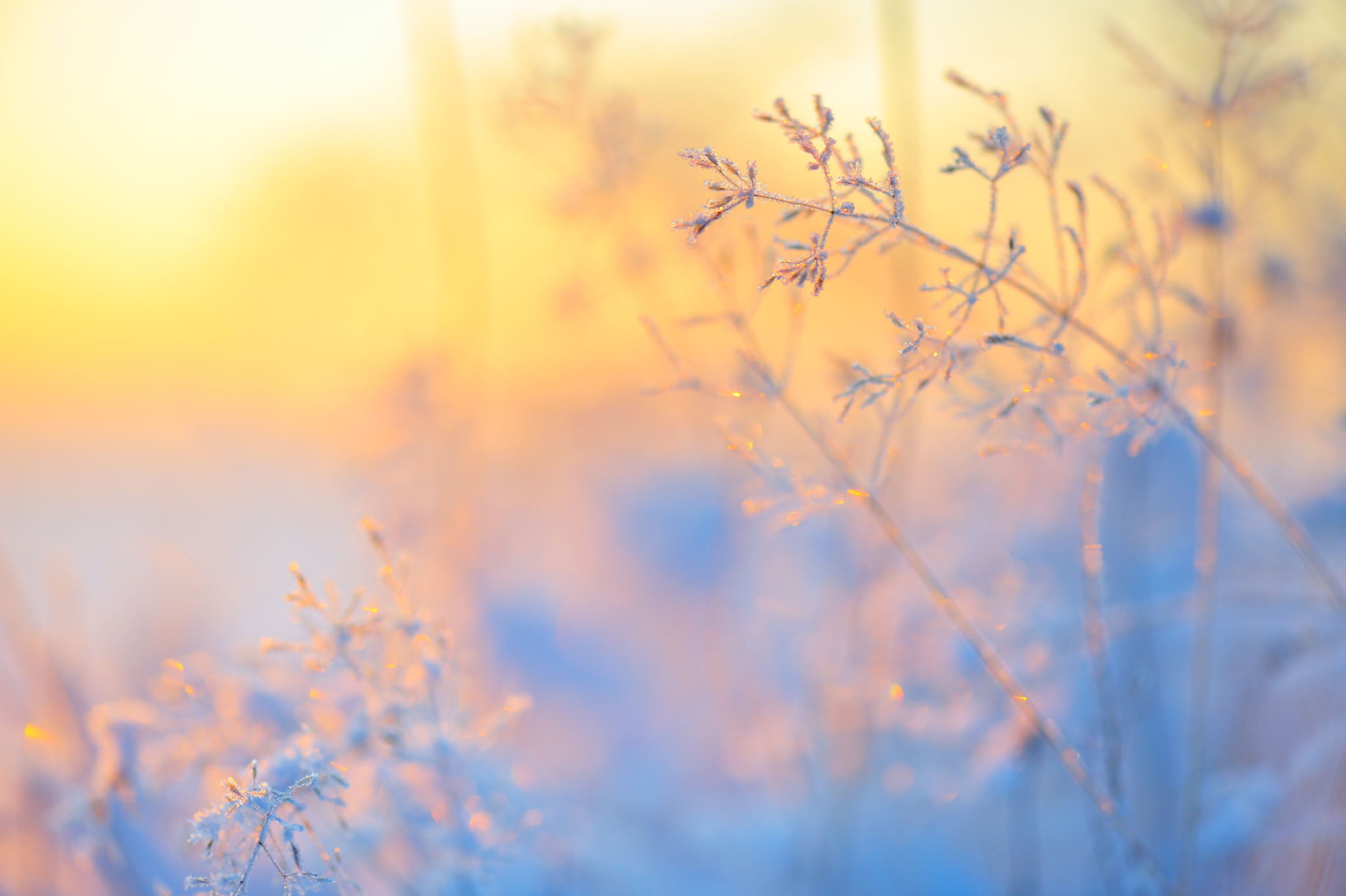 winter sunlight