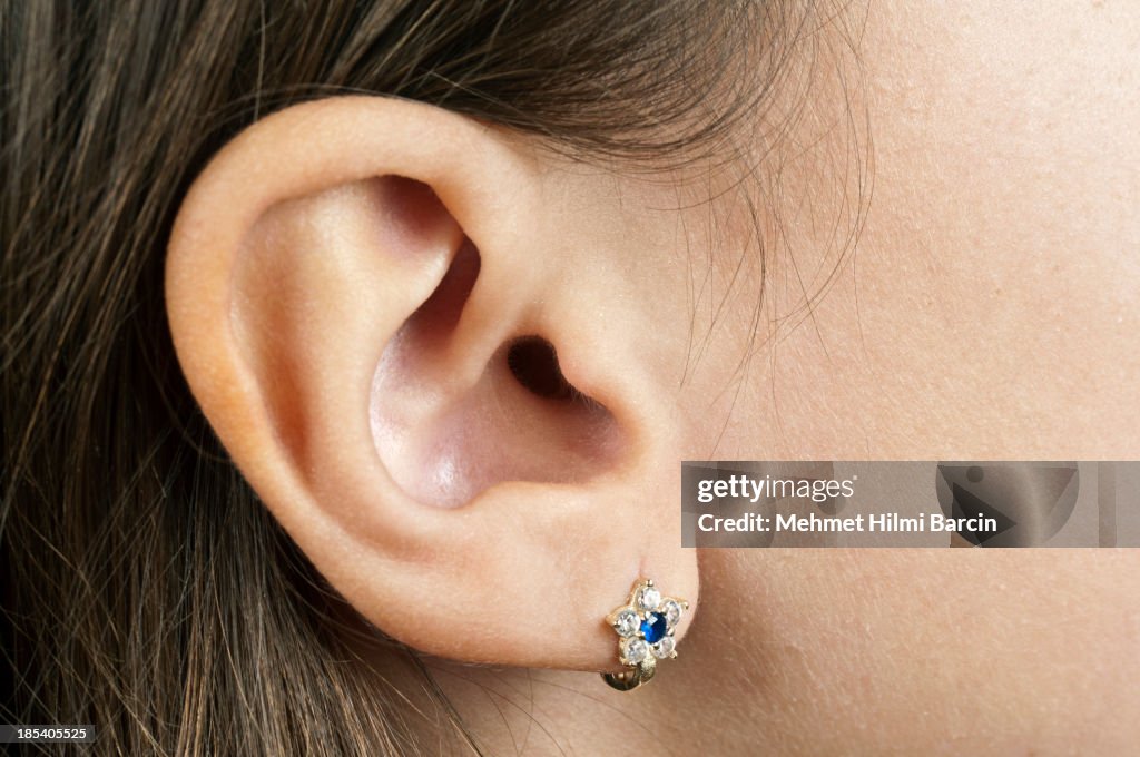 Human Ear