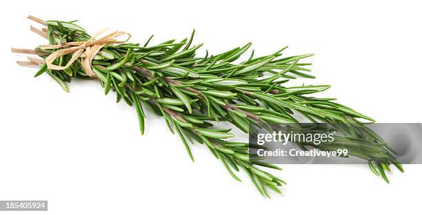 con romero a la parrilla con hierbas frescas sobre fondo blanco - rosemary fotografías e imágenes de stock